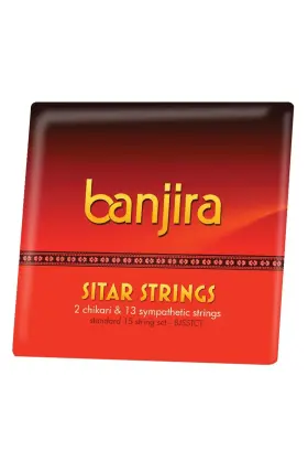 Banjira 844731041051 Sitar Chikari And Symp String Set