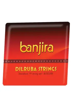 Bjsdlrb BANJIRA Dilruba Set