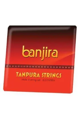 Bjstnprm BANJIRA Male Tanpura Set