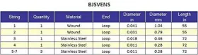 Bjsvens BANJIRA Saraswati Veena Set #2