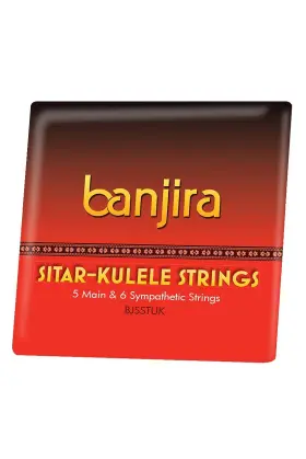 Banjira 844731051593 Sitar-kulele String Set