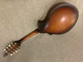 6687 BREEDLOVE Quartz Kf Burst Mandolin #2