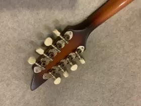 6687 BREEDLOVE Quartz Kf Burst Mandolin #3
