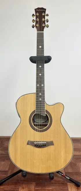 GUITAR-21 D-SANTOS GUITARS Acoustic Bachatera Electric
