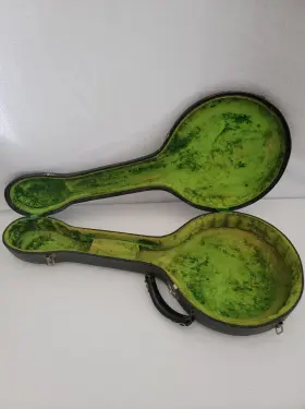 1924 GIBSON Tb Tenor Banjo #2