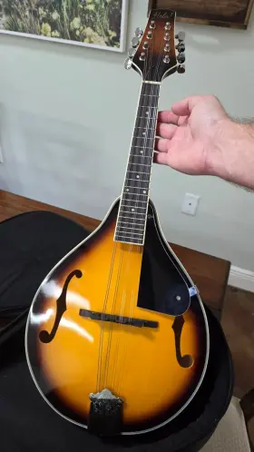 Hola Ma170 Mandolin Admired But Never Used Inch Brand With Soft Case