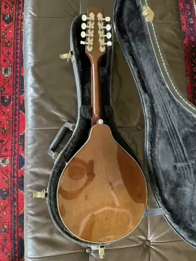 KM-250S KENTUCKY Mandolins Musical #2