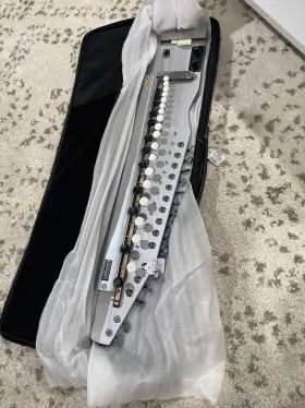Sbjs PALOMA Shahi Baaja Sitar Dulcimer Swarmandal #2