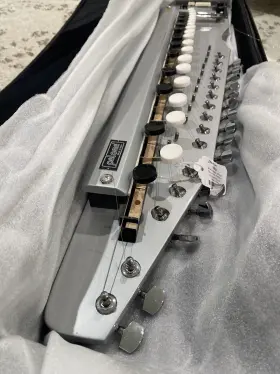 Sbjs PALOMA Shahi Baaja Sitar Dulcimer Swarmandal #3