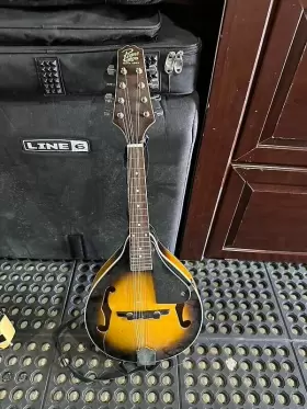RM-100A-A PINE INSTRUMENTRS Mandolin Sunburst