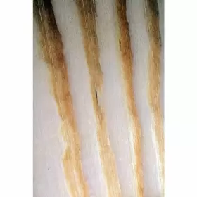 USED006001 SONOR ORFF Contra Bass Chime Bars Palisono Ks #3