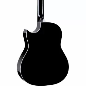 657CE-BAJO-QUINTO TAYLOR Pacific Acoustic Electric #2