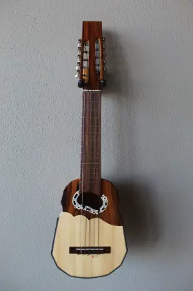 V-RR-2 VILLELA Ronroco Bolivia