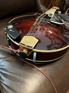 Weber 123aaa Mandolins Musical Instrument Vintage