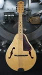 Vintage Hondo Natural Mandolin. Fixed Price $249.99.