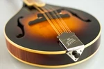 New Old Stock The Loar Lm-220-vs Mandolin All Solid Wood A-model With F-holes. Fixed Price $474.00.