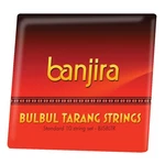 Banjira Bulbul Tarang String Set. Fixed Price $20.10.