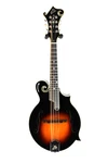 The Loar Lm-600 F-model Mandolin Vintage Sunburst - Blem #r7525. Fixed Price $749.95.