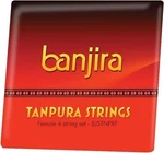 Banjira Female Tanpura String Set. Fixed Price $24.95.