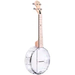Gold Tone Lightup Little Gem Banjoukulele (amethyst) Diamond. Fixed Price $239.99.