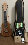Donner Model Duc-1 Ukulele In Case. Fixed Price $29.99.