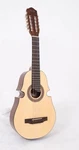 Cuatro De Puerto Rico Don Jose 10-string Acoustic Guitar Dj-c725-nt-no Bag.. Fixed Price $249.00.